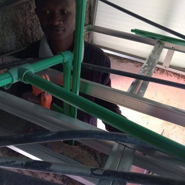 IMG_20240905_085229_454